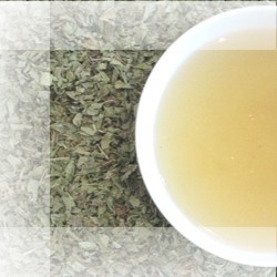 Zeige Details für Zitronenverbene (Verveine) Bild von Zitronenverbene (Verveine)