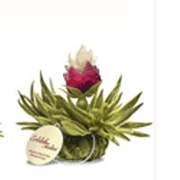 Zeige Details für Peach Perl, Erblüh Teelini, weißer Tee aromatisiert, Teerose Bild von Peach Perl, Erblüh Teelini, weißer Tee aromatisiert, Teerose