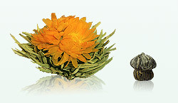 Zeige Details für Sonnenwende, weißer Tee, Teerose, Erblüh Tee Bild von Sonnenwende, weißer Tee, Teerose, Erblüh Tee