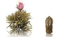 Zeige Details für Juweltröpfchen, weißer Tee, Teerose, Erblüh Tee Bild von Juweltröpfchen, weißer Tee, Teerose, Erblüh Tee