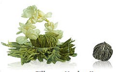 Zeige Details für Silberne Hochzeit, weißer Tee, Teerose, Erblüh Tee Bild von Silberne Hochzeit, weißer Tee, Teerose, Erblüh Tee