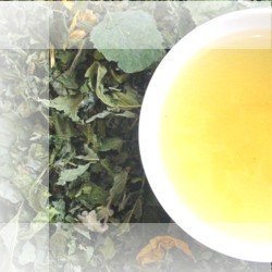 Zeige Details für Druidentrank bio, Kräutertee, Sonnentor Bild von Druidentrank bio, Kräutertee, Sonnentor