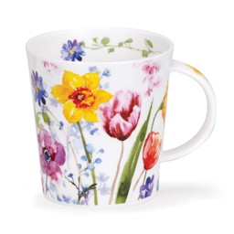 Zeige Details für Wild Garden Narzisse Daffodil Dunoon Tasse Lomond Bild von Wild Garden Narzisse Daffodil Dunoon Tasse Lomond