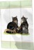 Bild von Geschirrtuch 2er Set Cat Collection Roy Kirkham