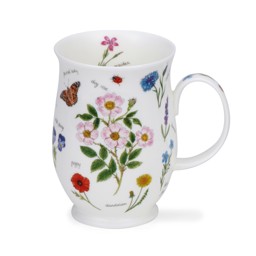 Zeige Details für Dunoon Tasse Nature's Notebook Dogrose Heckenrose Suffolk Bild von Dunoon Tasse Nature's Notebook Dogrose Heckenrose Suffolk