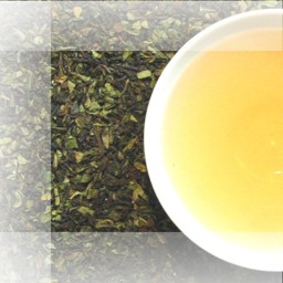 Bild von Darjeeling BPS Singtom bio first flush, schwarzer Tee