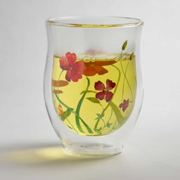 Bild von Teeglas Lotta doppelwandig Glastasse groß