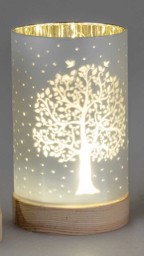 Bild von Deko-Licht LED weiß 15 cm - Motiv Baum - Familie Wurzeln halten alles zusammen