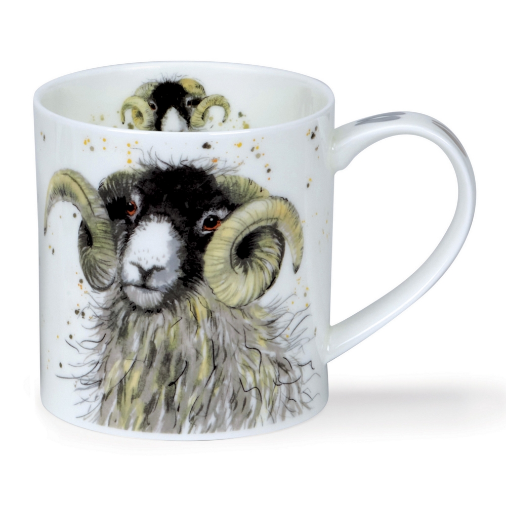 Bild von Dunoon Tasse Shaggy Sheep Swaldedale Schaf Orkney