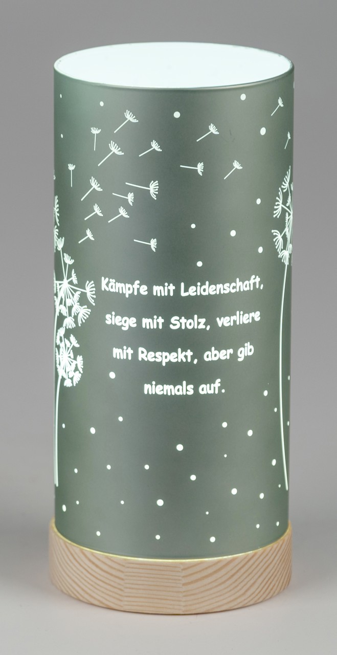 Bild von Deko-Licht LED salbei 15cm 20cm - Kämpfe mit Leidenschaft