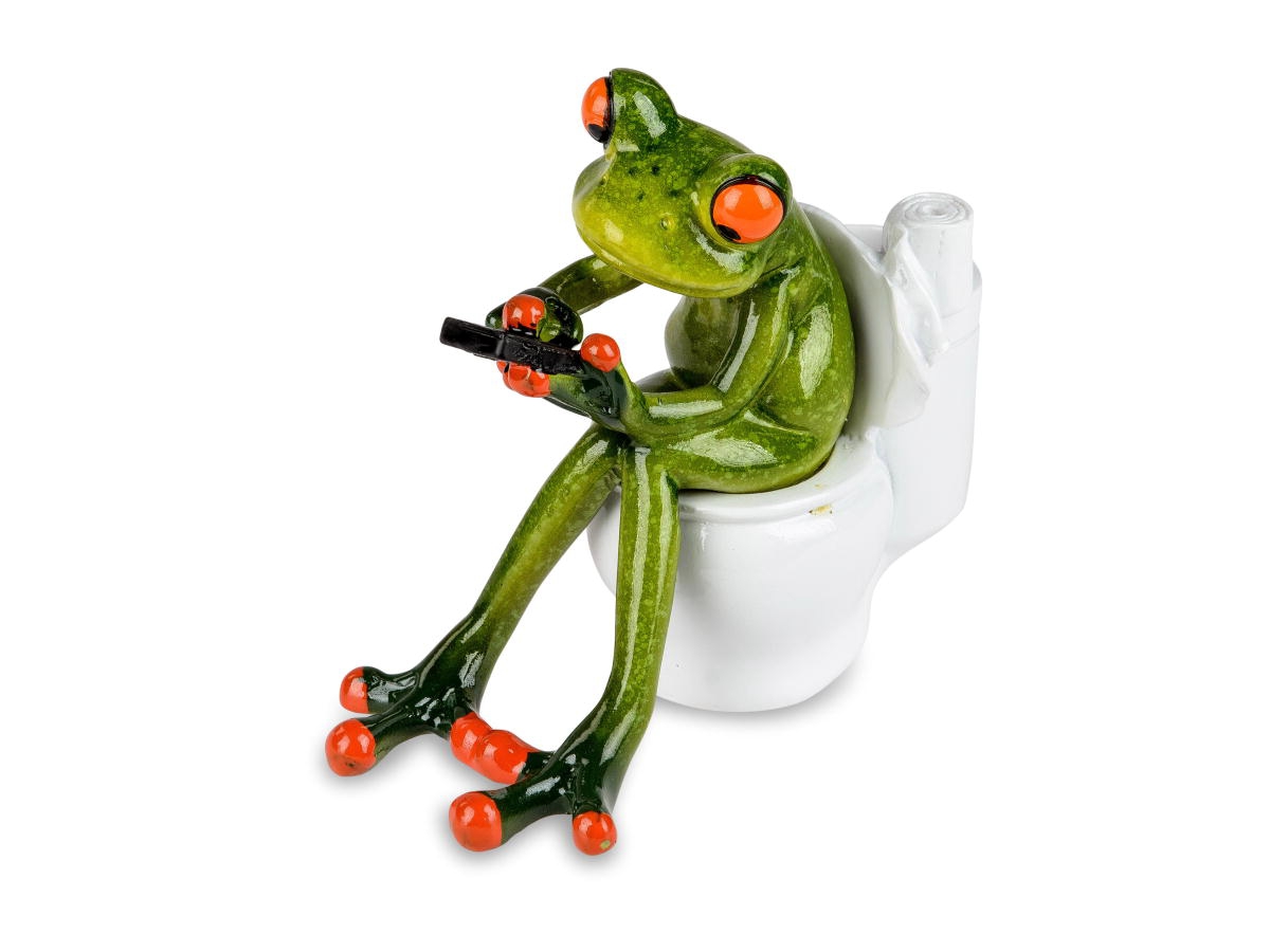 Bild von formano Dekofigur Frosch Toilette mit Handy 13 cm