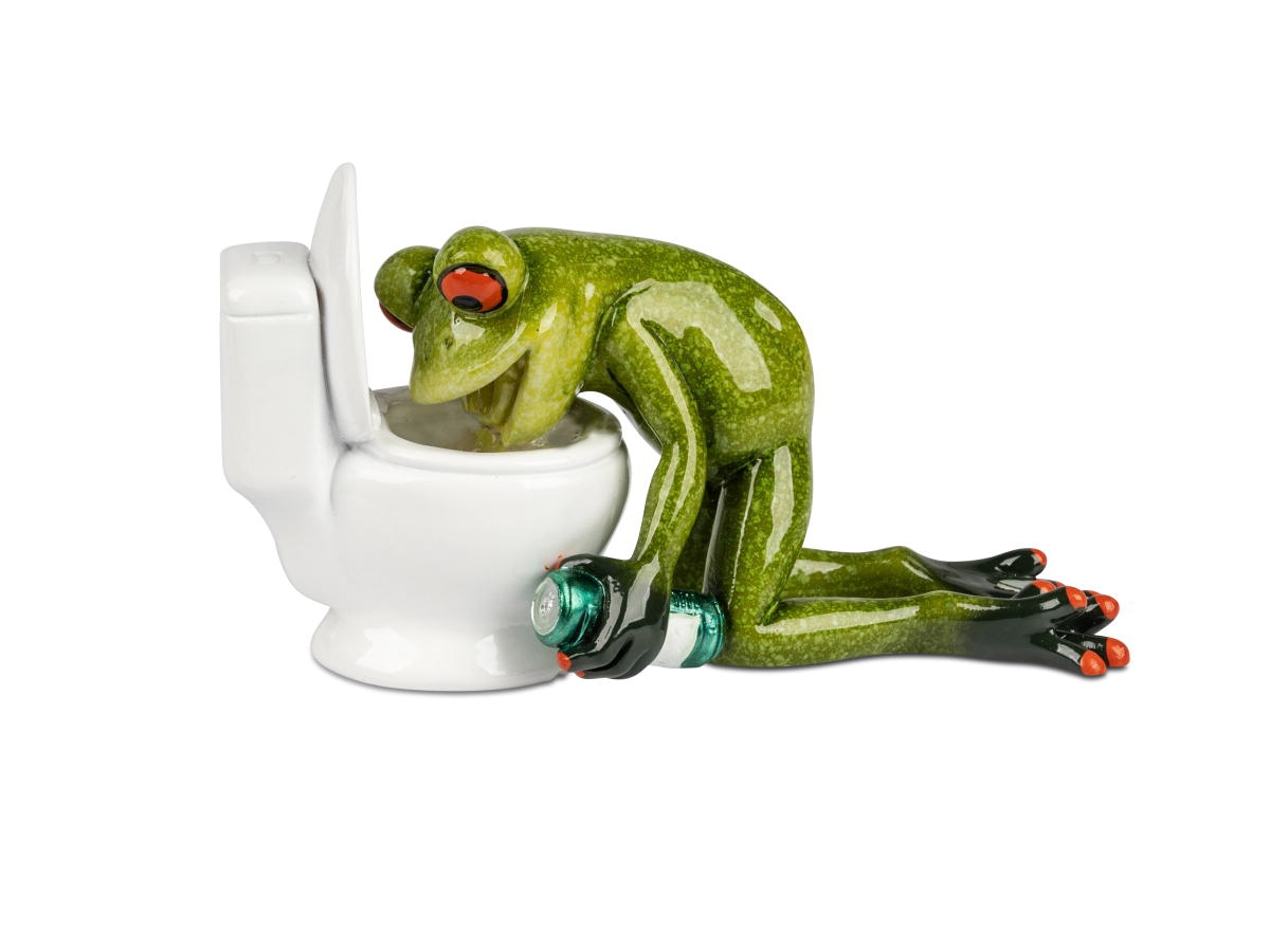 Bild von formano Dekofigur Frosch vor Toilette 