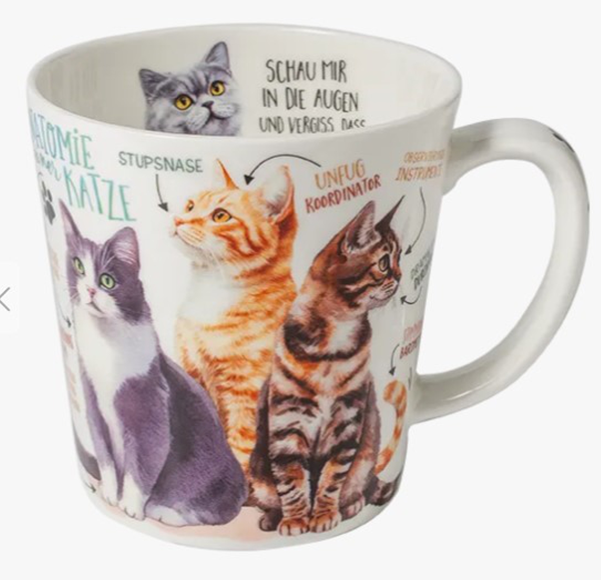 Bild von Tasse Samtpfote Katzen Jumbobecher 500 ml Fine Bone China 