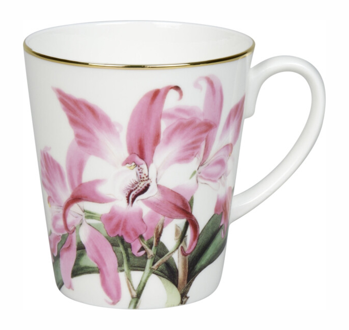 Bild von Könitz Tasse Wunderbar Laelia autumnalis Jumbobecher Jumbotassen Fine Bone China